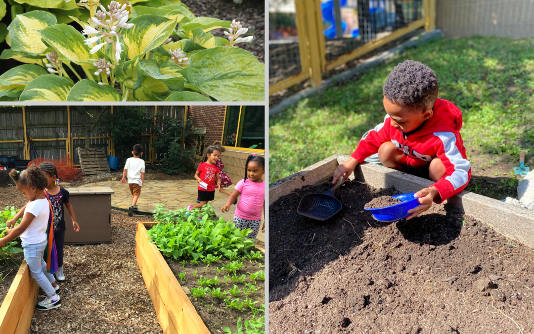 Planting Seeds of  Knowledge, Exploration, and FUN