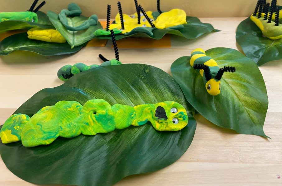 CATERPILLAR SCULPTURES | Model Magic and Mixed Media | Students created three dimensional representations of what caterpillars looked like before metamorphosis to butterflies.